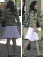 Multi-View Pedestrian Recognition