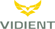 Vidient